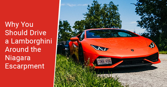 Why you should drive a Lamborghini around the Niagara escarpment