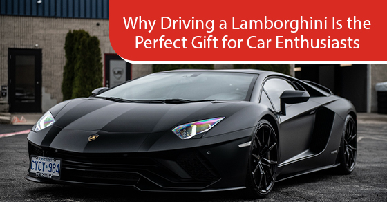 Why Driving a Lamborghini Is the Perfect Gift for Car Enthusiasts